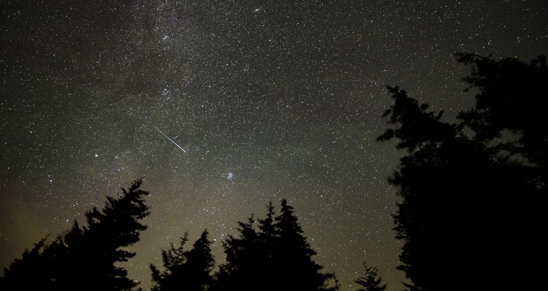 Perseid Meteor Shower 2026: Peak Night, Times & Viewing Tips